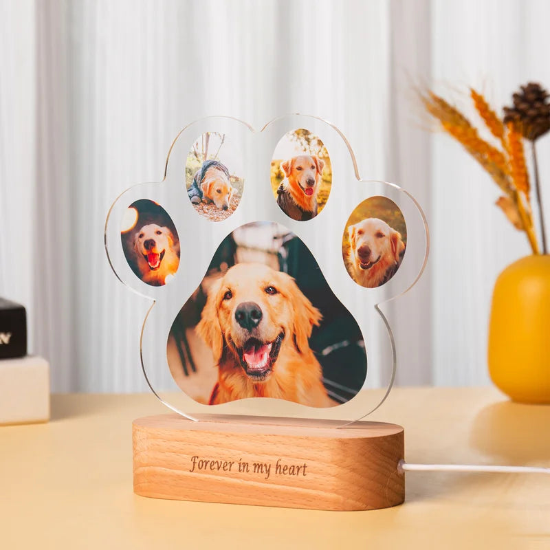 Personalised Night Light - Paw 5 Photos Night Light - Acrylic LED Night Lamp with Name