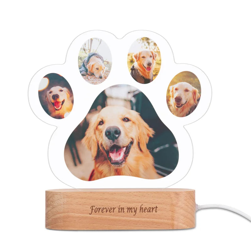 Personalised Night Light - Paw 5 Photos Night Light - Acrylic LED Night Lamp with Name